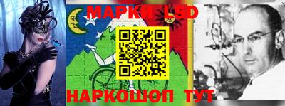 прущие грибы Ижевск