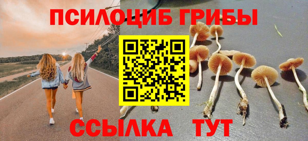 Галлюциногенные грибы прущие грибы  Псилоцибиновые грибы Psilocybe  Вход с VPN  Майский 