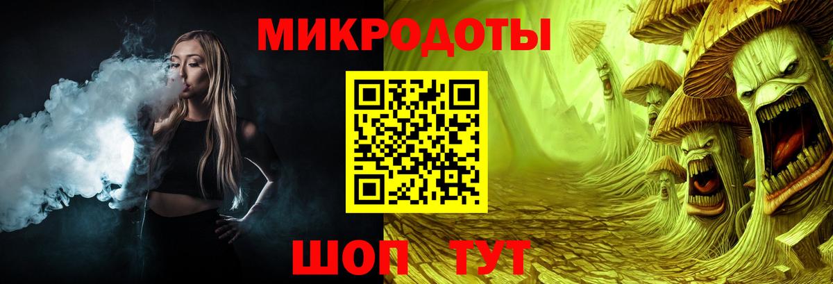 Псилоцибиновые грибы Psilocybine cubensis Майский
